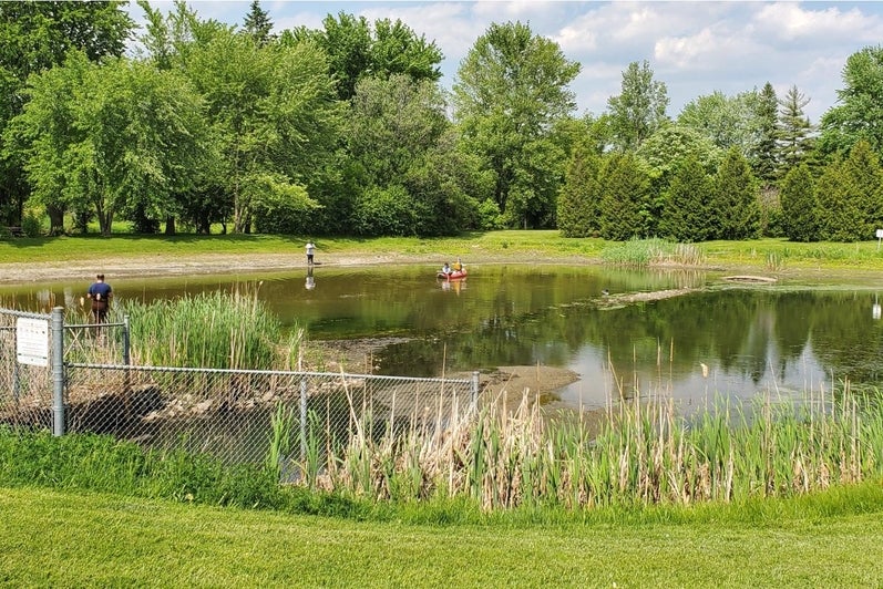 A stormwater pond in summer, Kitchener, Ontario