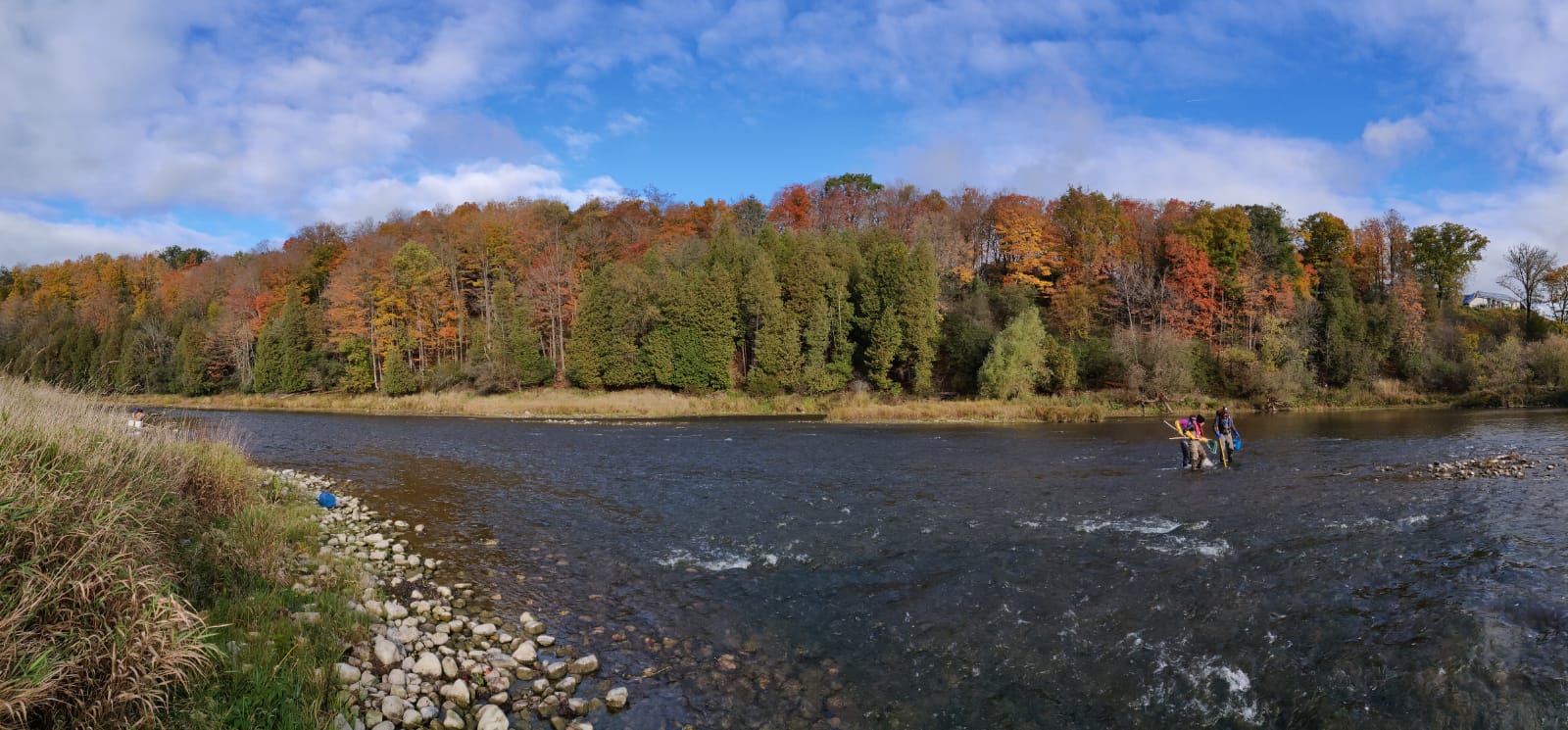 Central Grand River in fall.