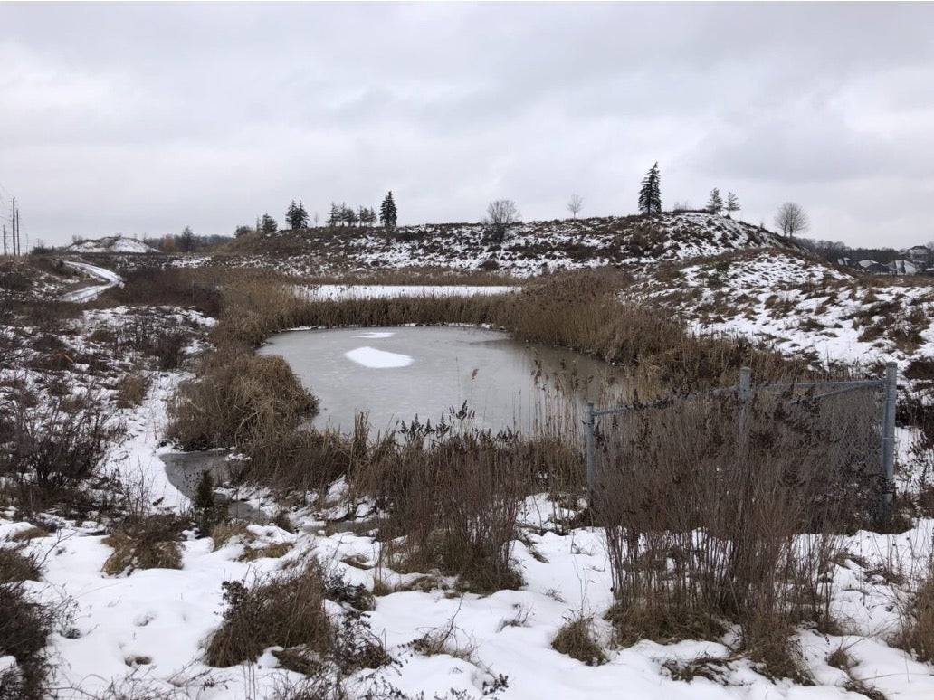 A stormwater pond during winter in Kitchener, Ontario