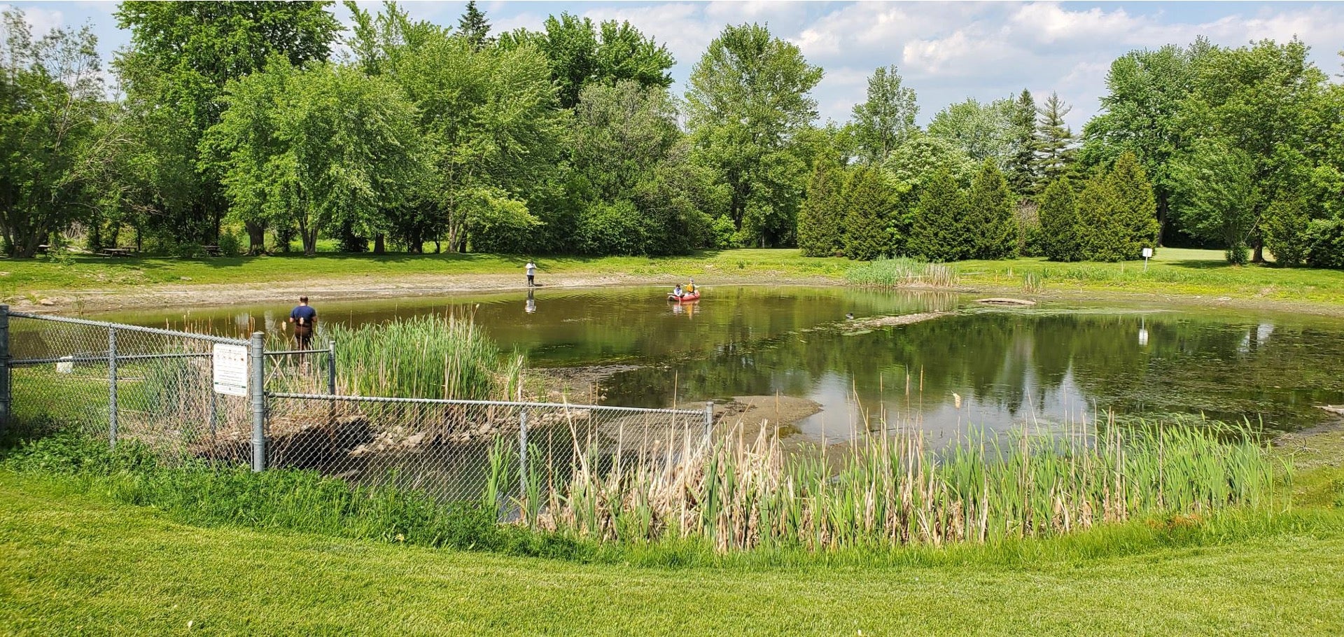 A stormwater pond in summer, Kitchener, Ontario