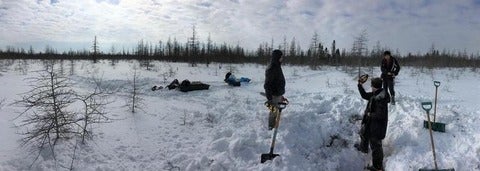 winter field work