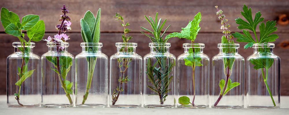 Glass jar filled with greenery