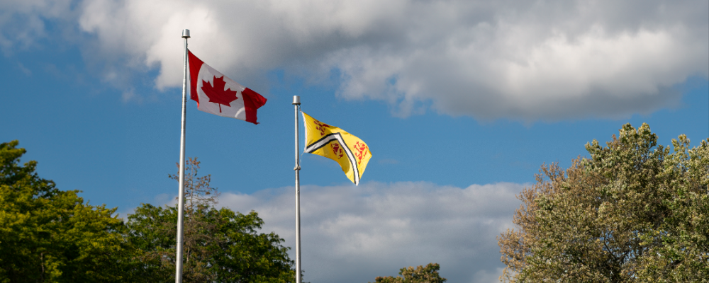 Canada flag and University of Waterloo flag on flagpoles