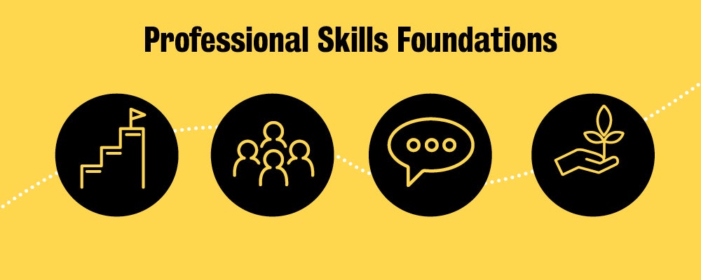 Professional Skill Foundations