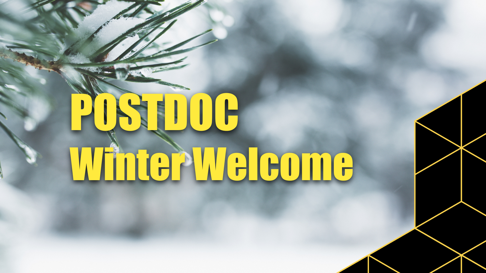 Postdoc winter welcome with wintery scene in background