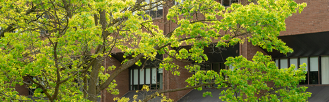 Outside Needles Hall