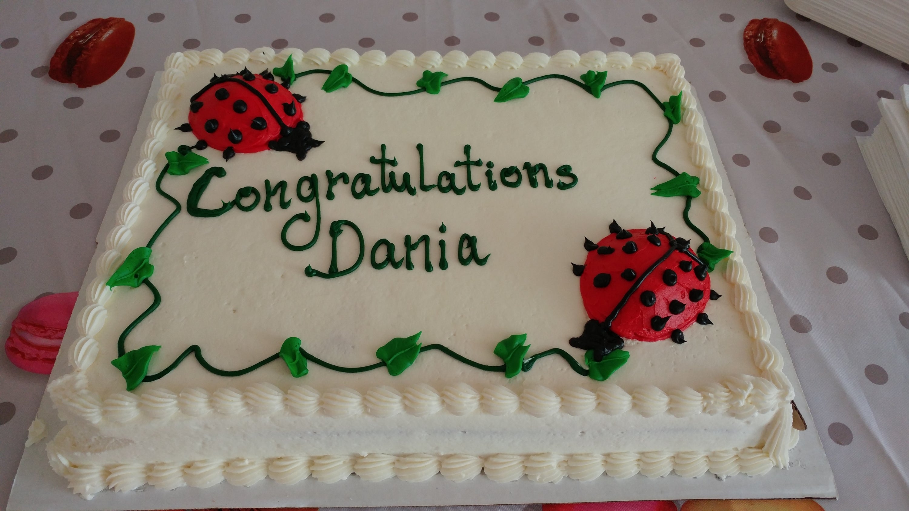 Dania's defence cake