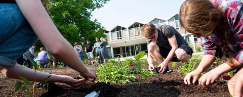 A group of Grebel students plant seeds into the new polinator garden out front of the residence.