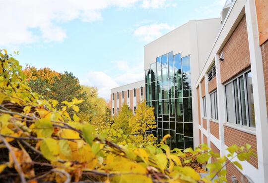 view of grebel in fall