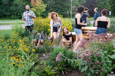 students and faculty tending to Pollinator Garden