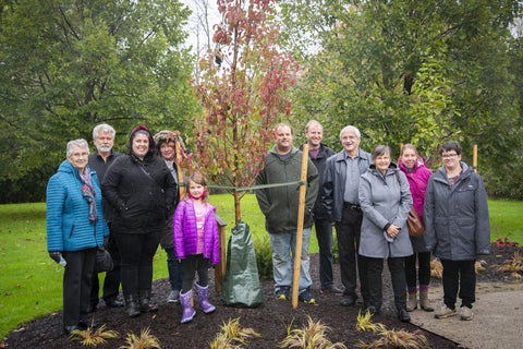 group gathered around baby tree 