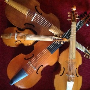4 viols