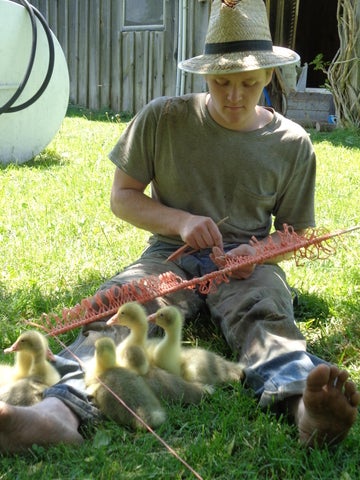 Andre making a net with goslings walking by 