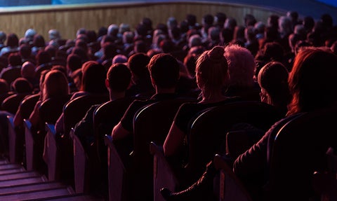 Audience in a theatre