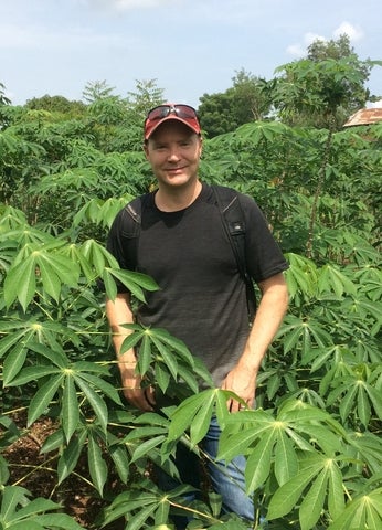David eagle standing in a field of plants 