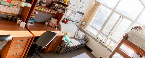 A well-decorated Grebel residence room with sun streaming through large window