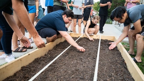 Students planting in the garden. 