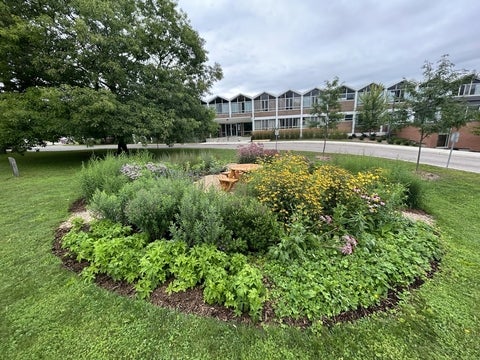 circular Pollinator Garden with bench in the middle