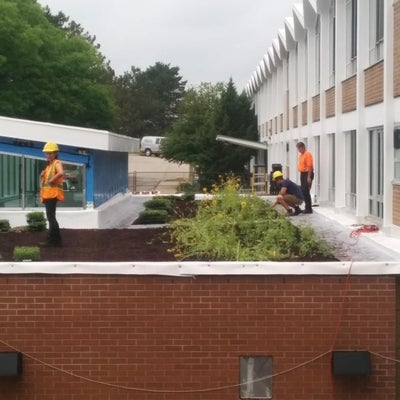 Workers plant a meadow garden on the rooftop of the new kitchen