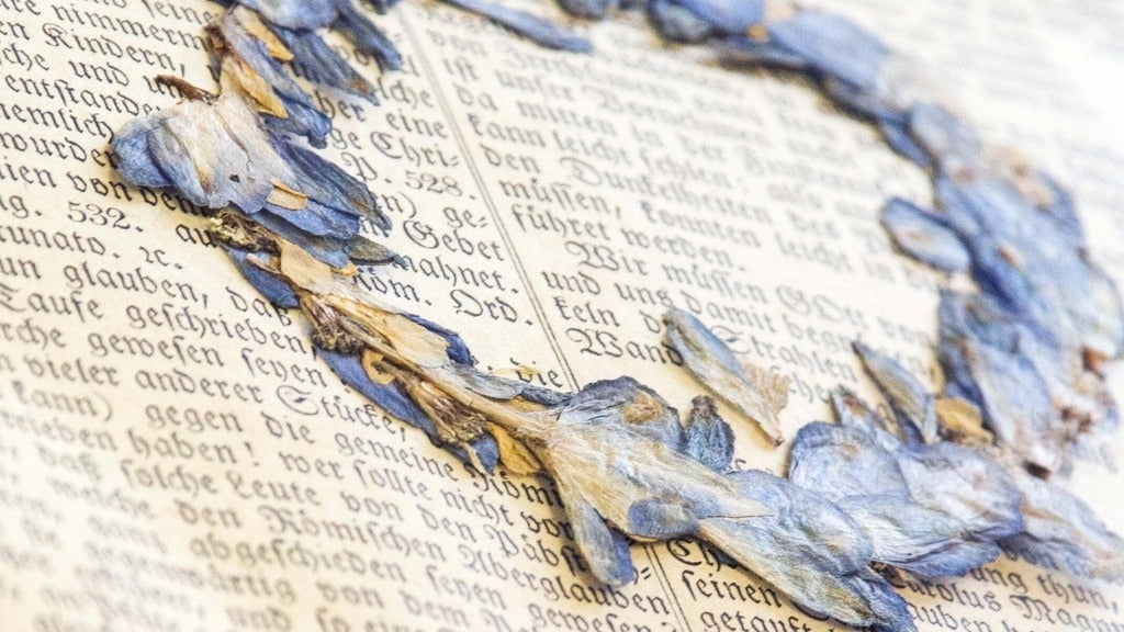 purple pressed flowers in a circle on a book page full of text 