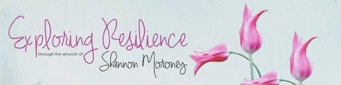 exploring resilience title banner