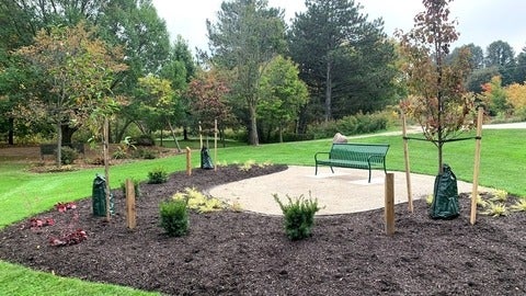 Garden with a bench 