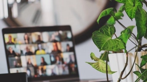 blurry computer with in focus plant 