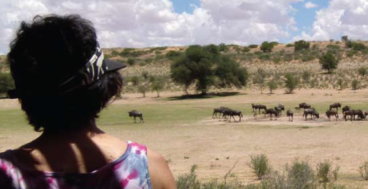Carol Ann Weaver looking at a herd of wilderbeast.