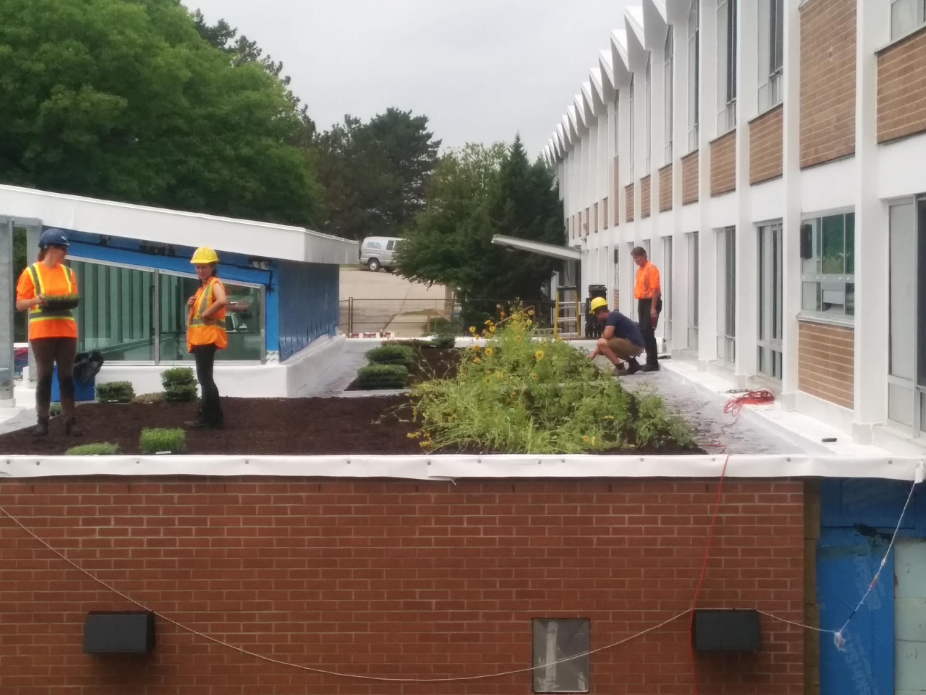 Workers plant a meadow garden on the rooftop of the new kitchen