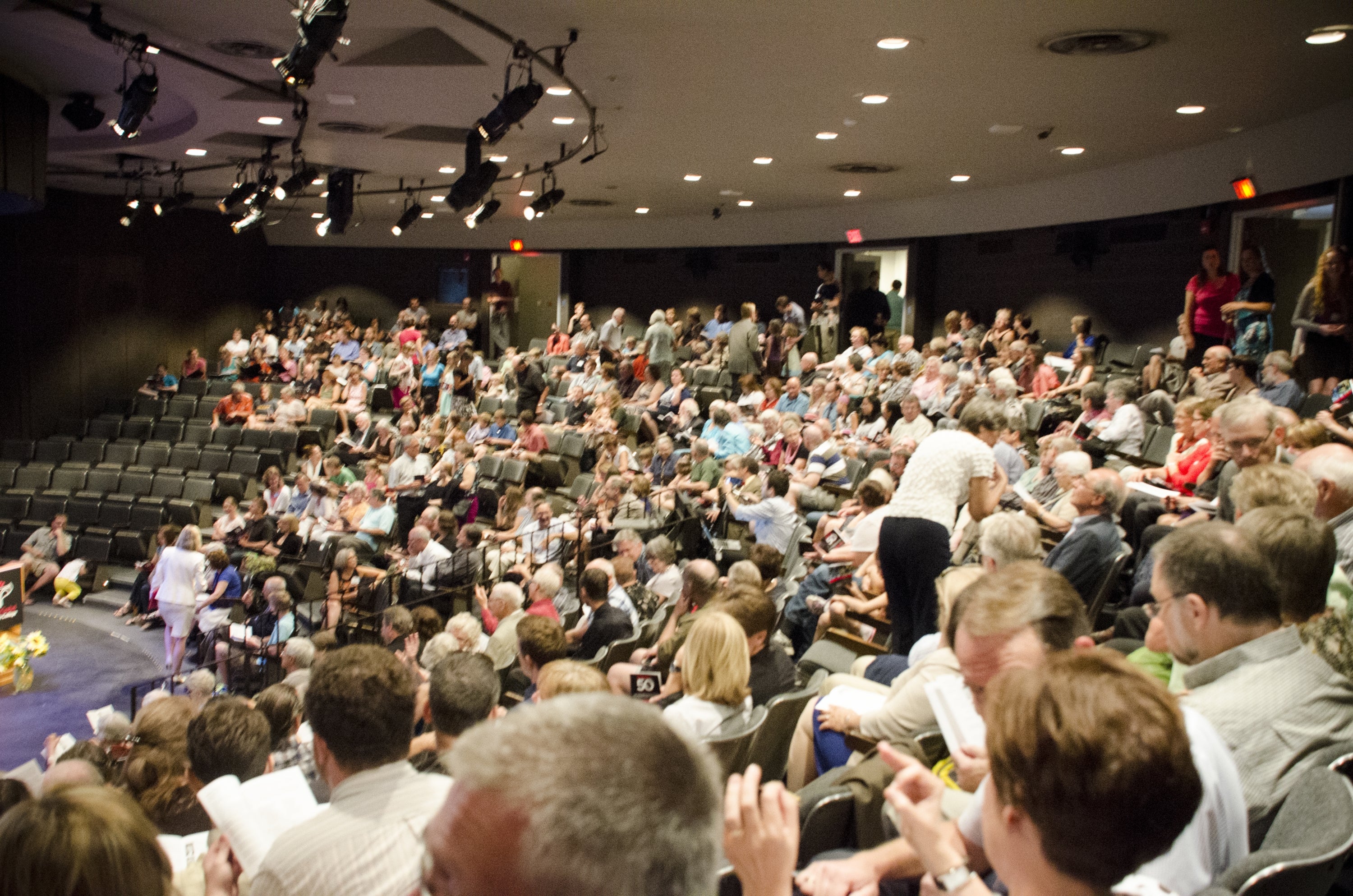 Audience in a theatre