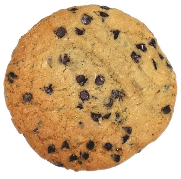 chocolate chip cookie