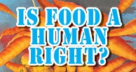 Is Food a Human Right?