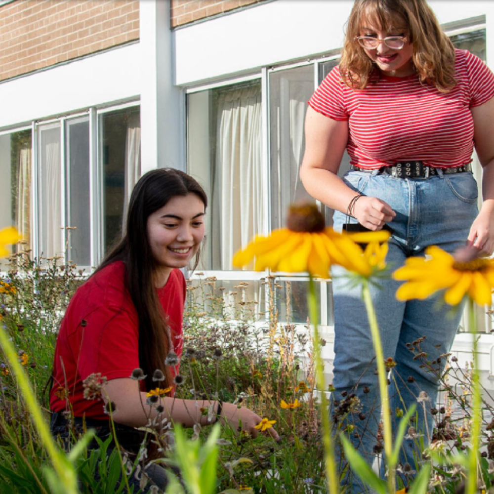 Two students walking through one of Grebel's gardens on residence rooftop