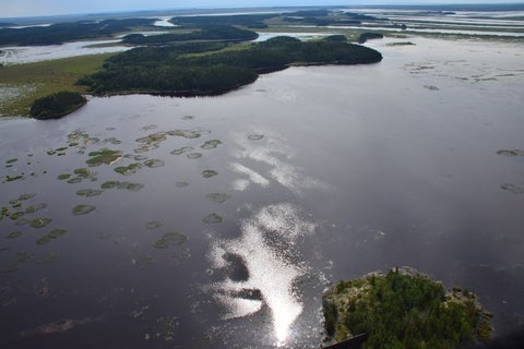 More Lakes within the Peace-Athabasca Delta