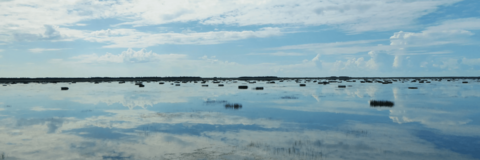 Still water in a large wetland reflects the clouds and sky creating a mirror image.