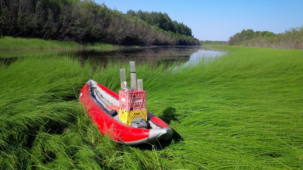 A red boat sits on green grass next to a small lake