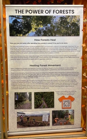 This banner explains the healing properties of forests and the Healing Forest concept