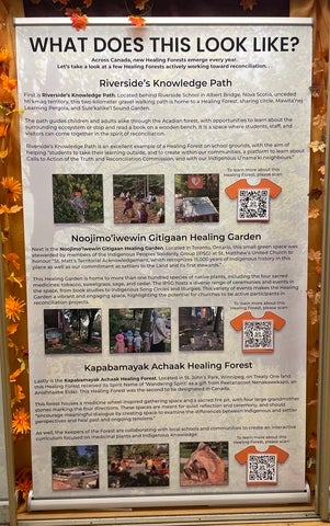 This banner showcases three Healing Forest case studies