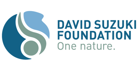 David Suzuki Foundation logo