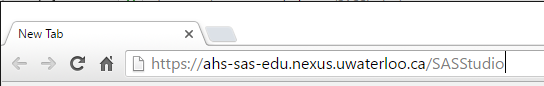 Screen capture of SAS address entered in browser window