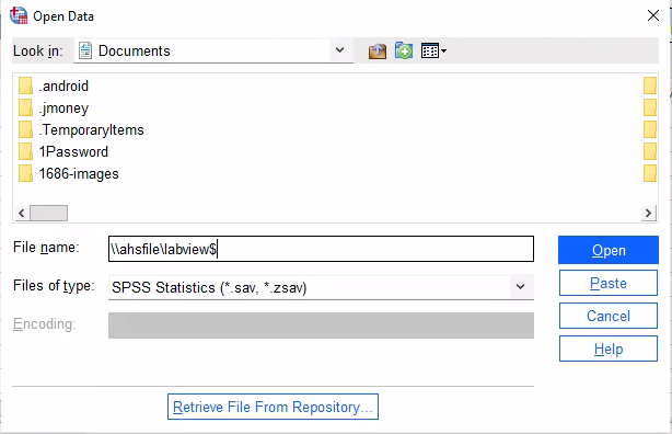 Screenshot of opening a network location in SPSS