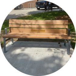 Legacy Bench.