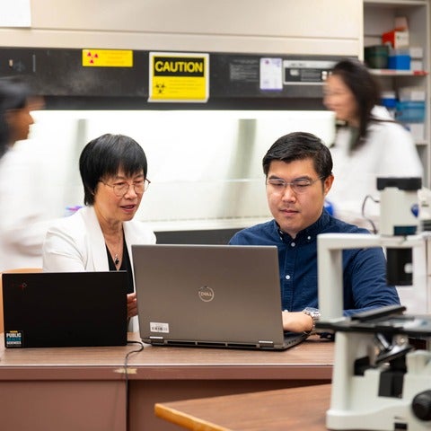 Helen Chen and Bing Hu work at computer in lab.