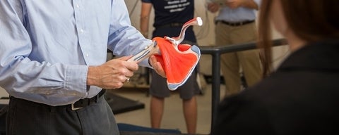 Biomechanics researcher holds model of human shoulder.