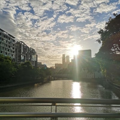 A beautiful view from my one-day quarantine hotel, surrounded by scenic bike paths, charming cafés, and peaceful riverside streets.