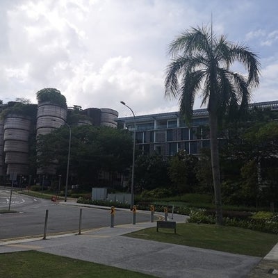 My host institution, Nanyang Technological University! On the left is the iconic Hive, with its funky design, tutorial rooms, and lush greenery.