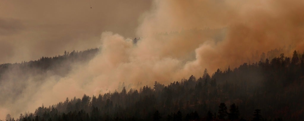 Smoke and wildfire behind a tree line in the distance