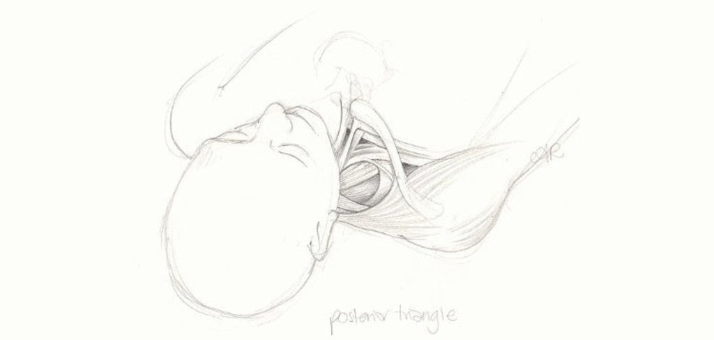 drawing of a person's head and chest