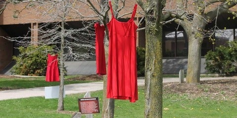 Red dresses hang on trees on the B M H green.