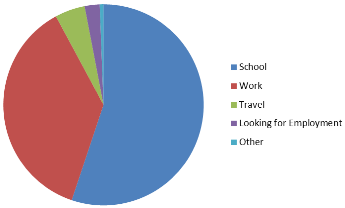 Pie Chart showing: School, Work, Travel, Looking for employment, Other
